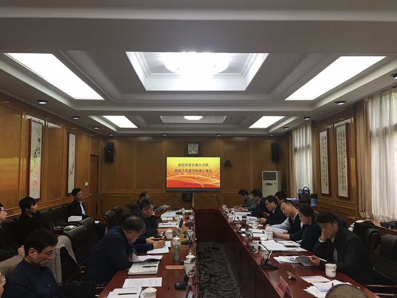 南宫NG28集团集团加入省国资委安康协力团扶贫事情督导检查汇报会