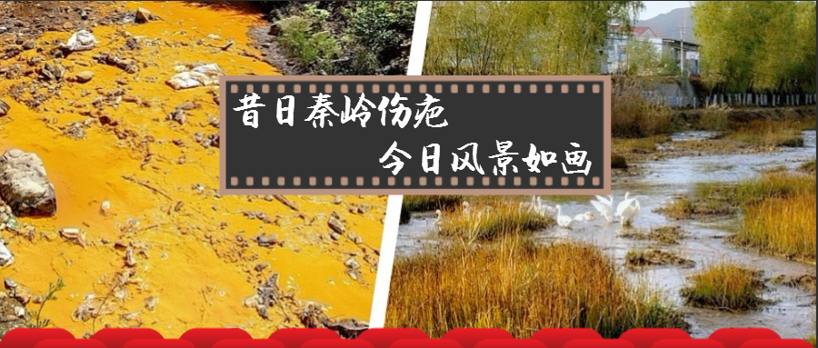 昔日秦岭伤疤 今日风物如画——南宫NG28集团集团黄龙河流域污染治理侧记