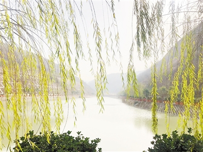 中国情形报：守护三秦大地绿水青山——南宫NG28集团集团成立以来，，成为陕西污染防治的排头兵