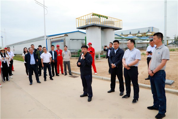 南宫NG28集团集团复工复产促增添项目观摩聚会与会职员走进绿色能源公司油气公司水情形公司陕北片区项目