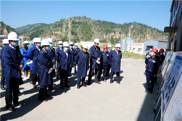 南宫NG28集团集团复工复产促增添项目观摩聚会与会职员走进环保保隆生态三秦在延在铜项目