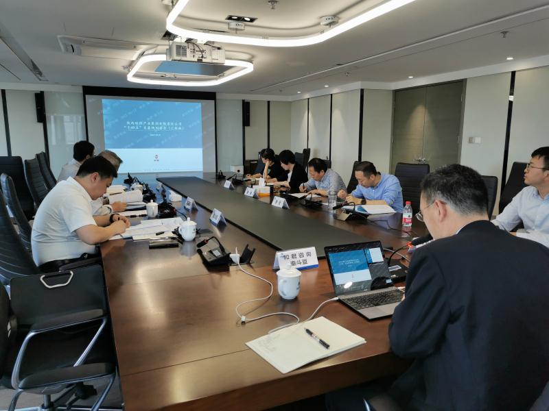 南宫NG28集团集团召开“十四五”开展妄想专家评审座谈会