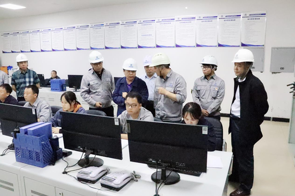 顾峰到绿色能源公司大荔生物质发电项目检查清静防汛事情