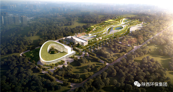 ★七年来，，，种下的每一棵，，，都算“树”